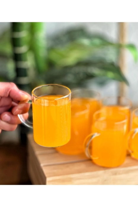 Hermia Set de 6 Vasos de Vidrio Borosilicatado Transparente 200 ml